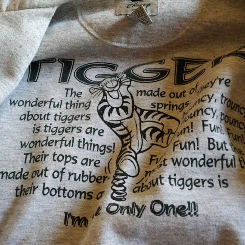 Disneyland Tigger ski jacket. I bought it used.